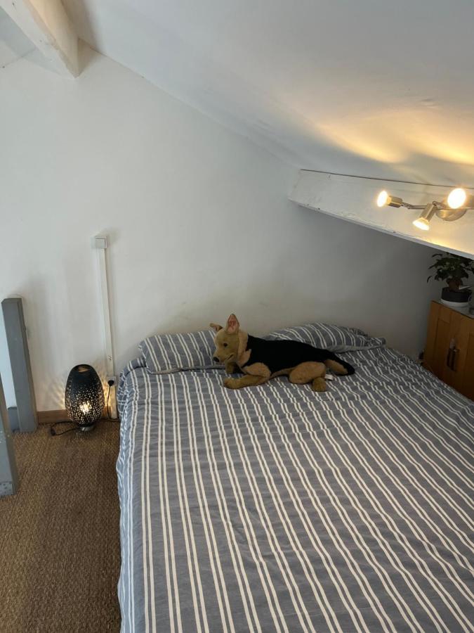 Apartament Les Hauts De Malmousque Marsylia Zewnętrze zdjęcie